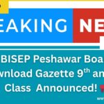 BISEP Peshawar Board Download Gazette for Matric Class 9th & 10th Result 2025 in PDF