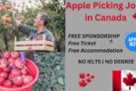 Apple Picking Jobs in Canada 2025