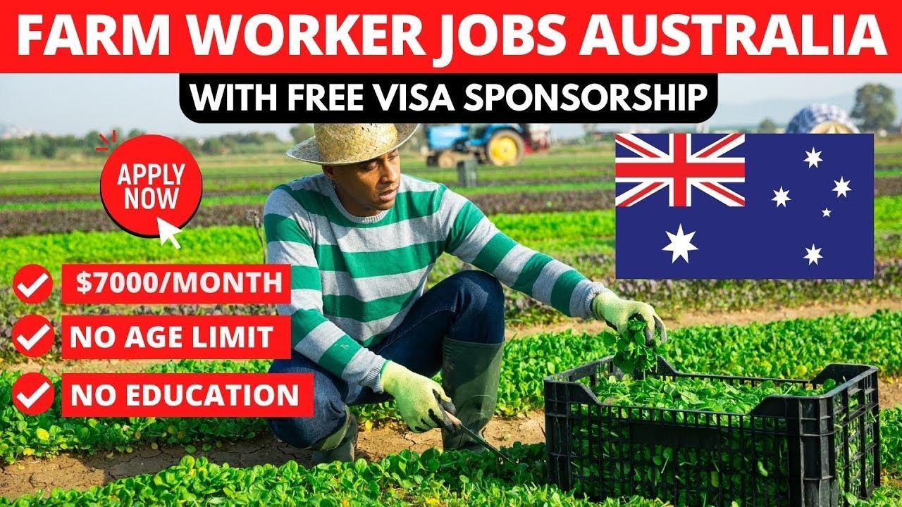 Farm Jobs in Australia