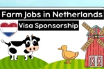Farm Jobs in Netherlands