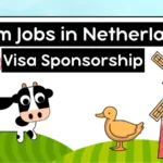 Farm Jobs in Netherlands