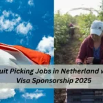 Fruit Picking Jobs in Netherlands